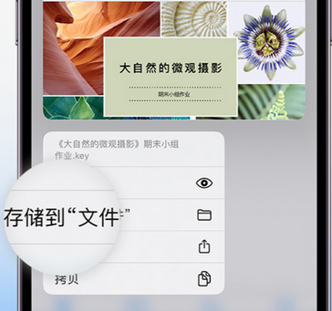 恒山apple维修中心分享iPhone文件应用中存储和找到下载文件