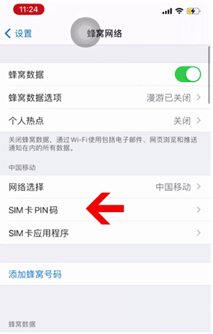 恒山苹果14维修网分享如何给iPhone14的SIM卡设置密码 