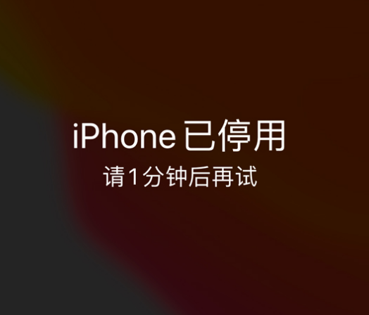 恒山苹果手机维修分享:iPhone 显示“不可用”或“已停用”怎么办？还能保留数据吗？ 