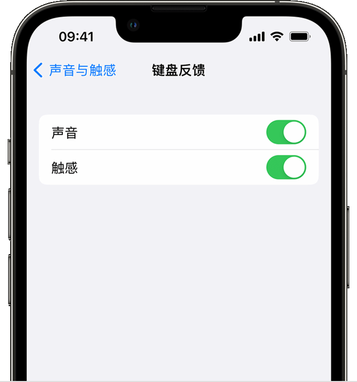 恒山苹果14维修店分享如何在 iPhone 14 机型中使用触感键盘 