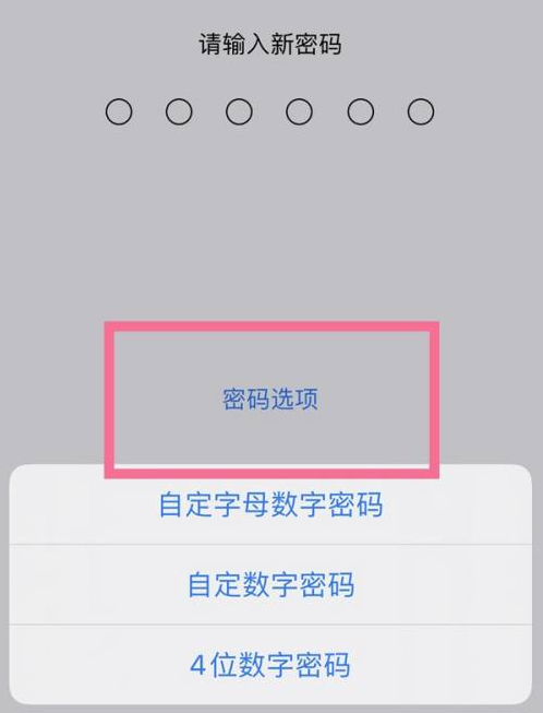 苹果iPhone 14plus可以设置手势密码吗？如何设置？