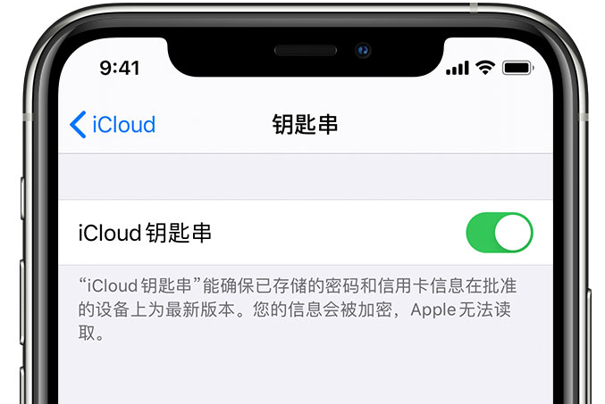 恒山苹果手机维修分享在 iPhone 上开启 iCloud 钥匙串之后会储存哪些信息 