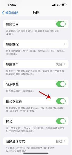 恒山苹果手机维修分享iPhone手机如何设置摇一摇删除文字 