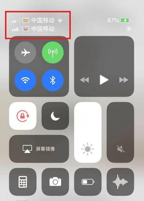 恒山苹果手机维修分享为 iPhone 12 双卡设置标签 