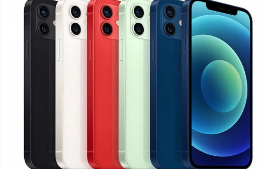 恒山苹果维修点分享iPhone12 Pro Max进水维修 